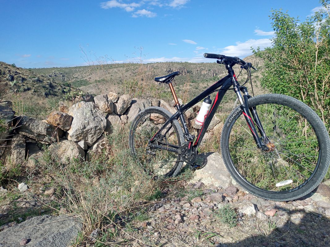 De Aguascalientes 119 a Tlatoani 133, Rincón de Romos