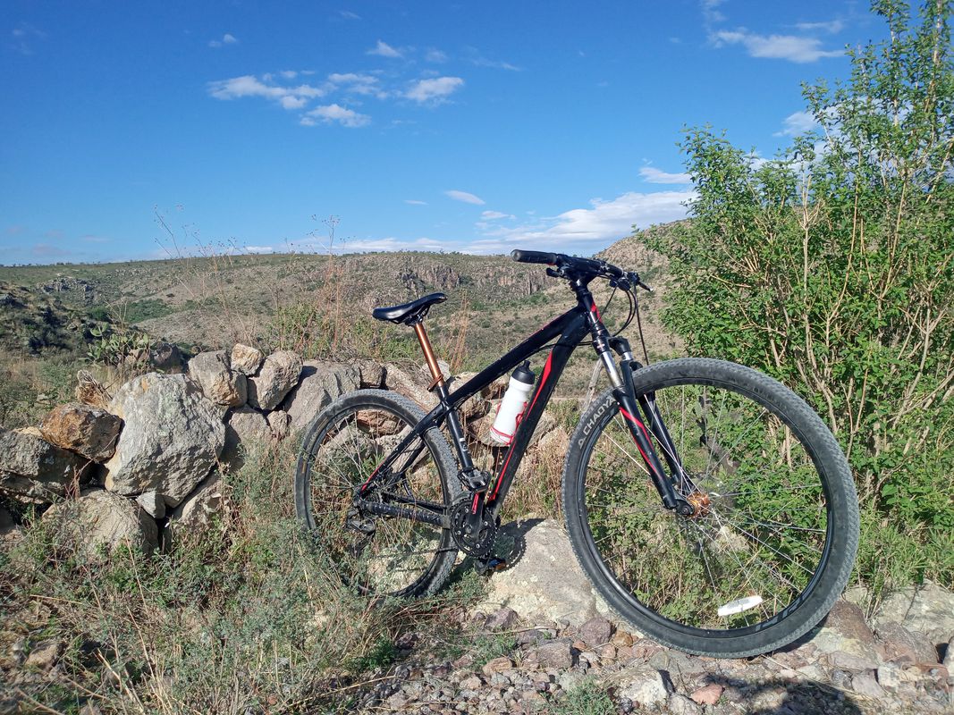 De Aguascalientes 119 a Tlatoani 133, Rincón de Romos