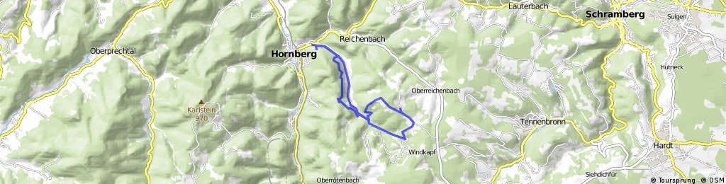 Singletrail hornberg