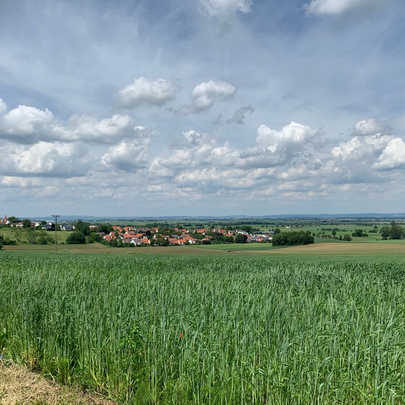 DLG - Nördlingen - DLG