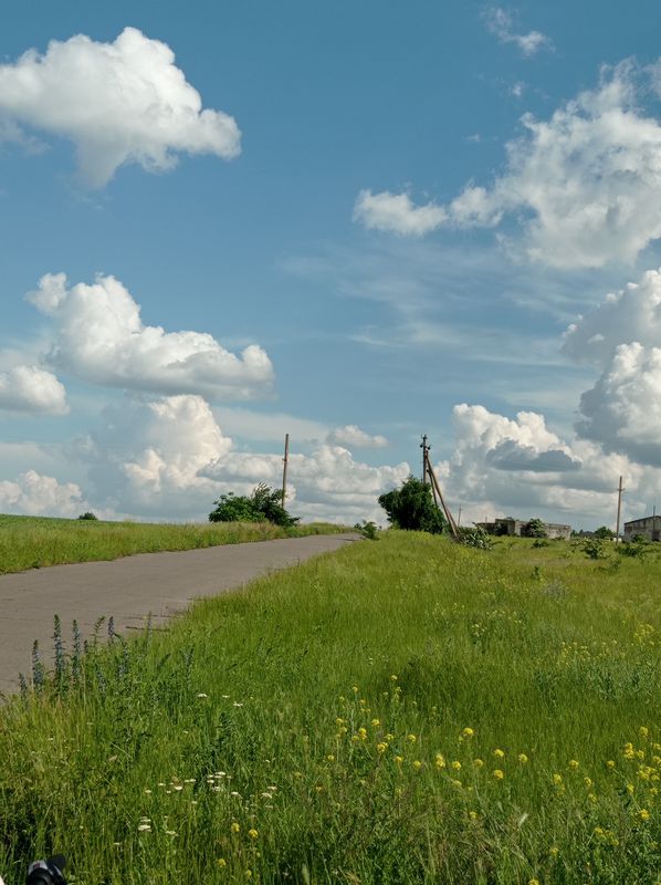 виноградный сад