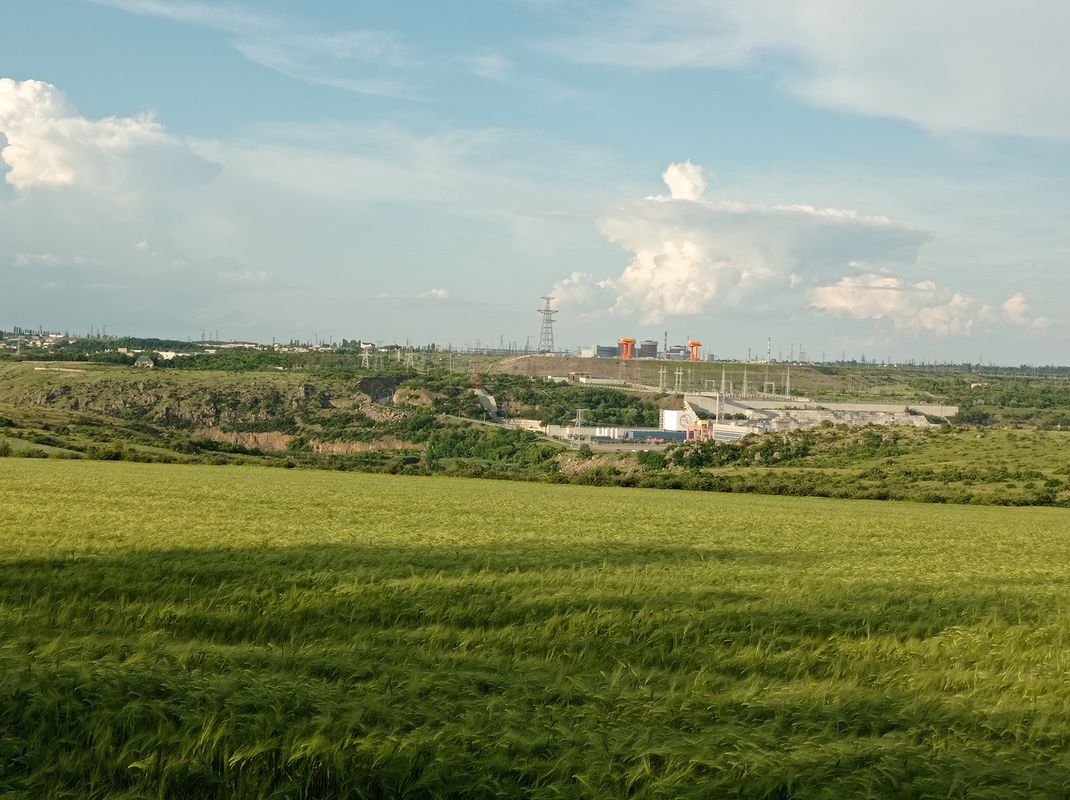 виноградный сад
