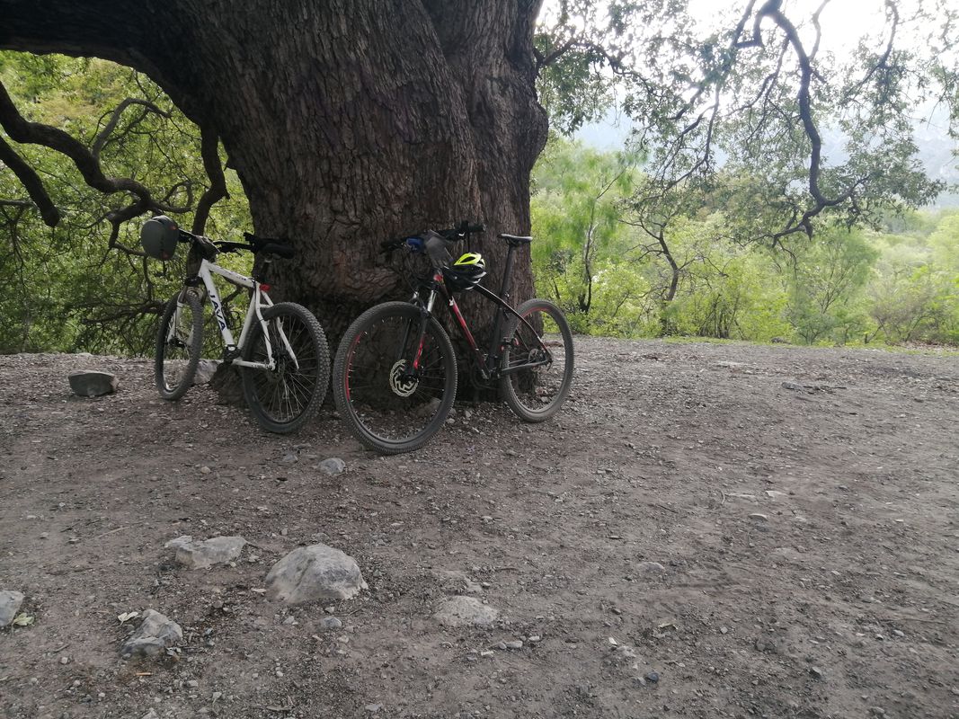 De Antiguo Camino a Potrero Chico 323, Hidalgo a SIN NOMBRE Número 99 SN-S RANCHO CERRO GORDO, Hidalgo