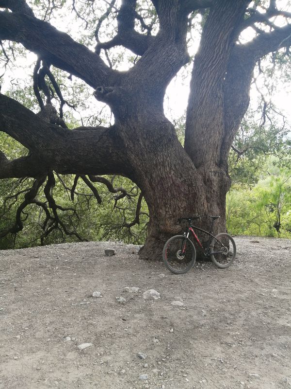 De Antiguo Camino a Potrero Chico 323, Hidalgo a SIN NOMBRE Número 99 SN-S RANCHO CERRO GORDO, Hidalgo