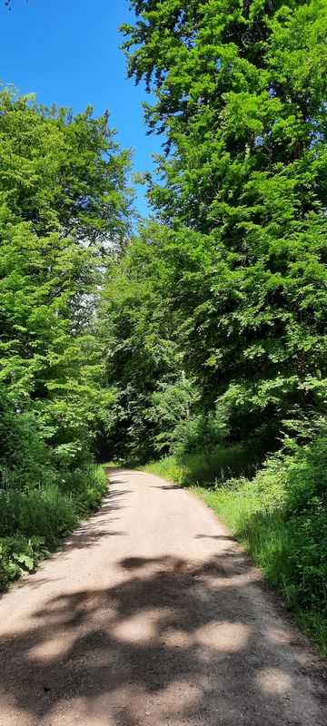 Dorfstraße 19, Ebergötzen nach Dorfstraße 21, Ebergötzen