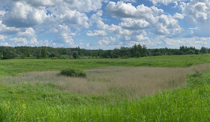 Zdjęcie 1 trasy Bikemap „От улица Якутских Стрелков, 59, Старая Русса до улица Якутских Стрелков, 59, Старая Русса”