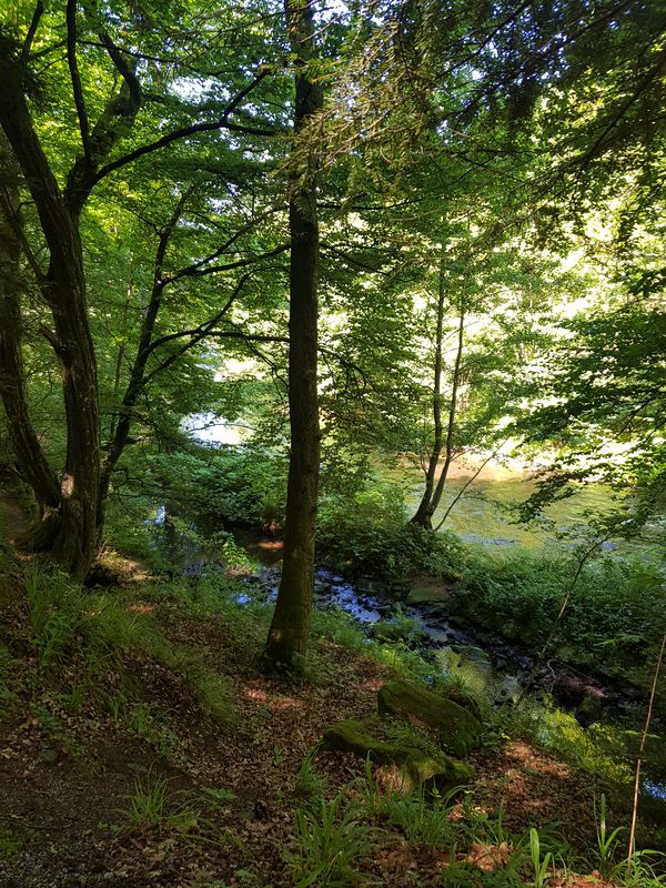 Ringstraße 2, Pforzheim nach Alte Straße 9, Höfen an der Enz