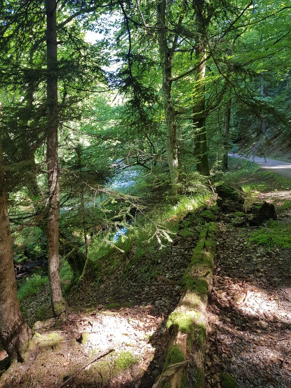 Ringstraße 2, Pforzheim nach Alte Straße 9, Höfen an der Enz