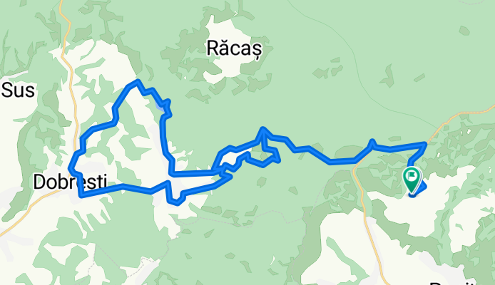 Lacul Vida - Lunca Sprie - luni, 02,08,2021