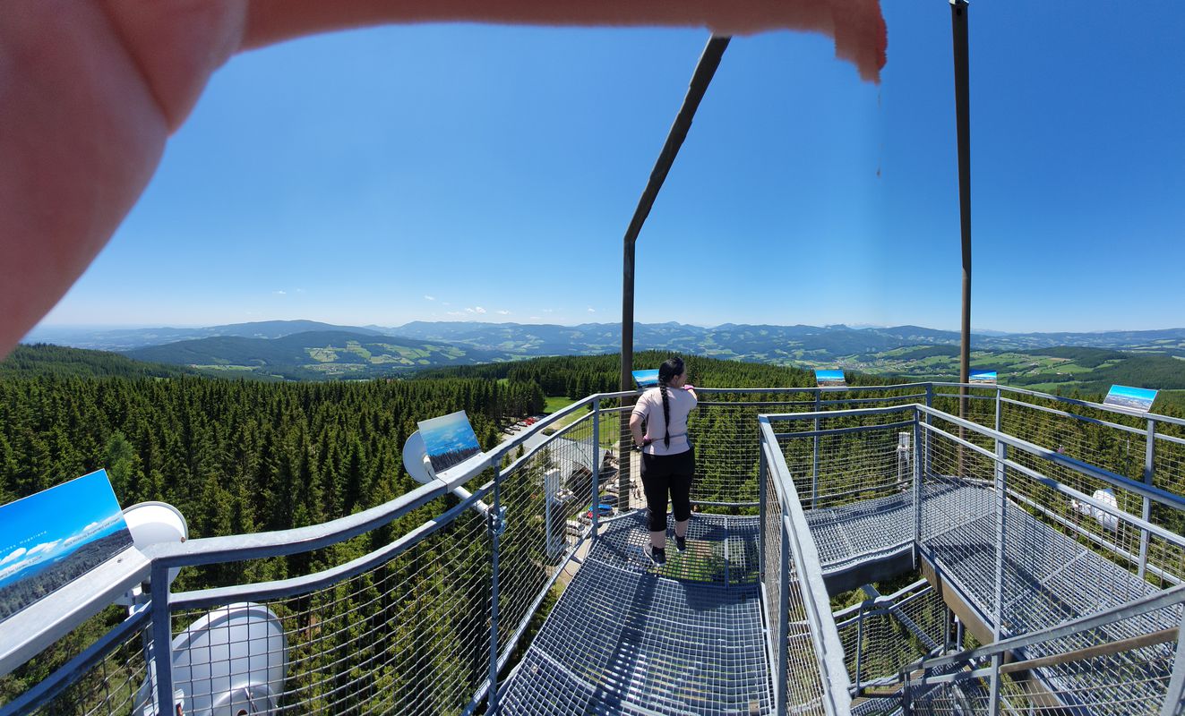 Wildwiesenrunde