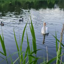 Praha 14 to Praha 14