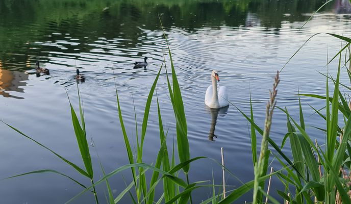 Foto 1 de la ruta de Bikemap "Praha 14 to Praha 14"