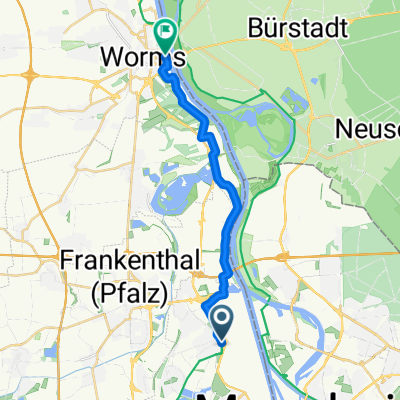 Rheinradweg: LU-Oppau - Worms