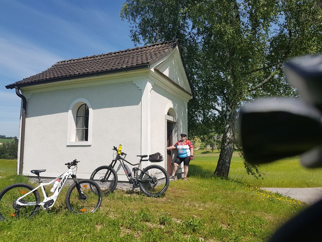 Panholz 17 nach Panholz 17