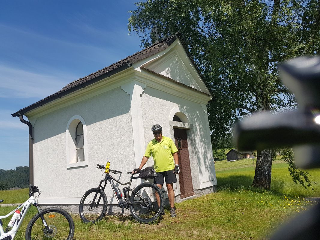 Panholz 17 nach Panholz 17