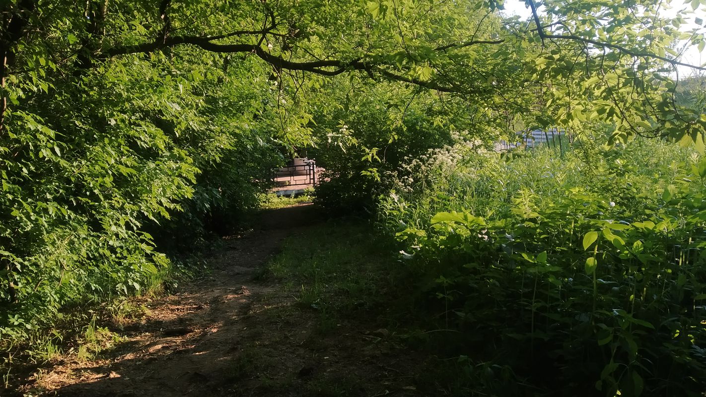 По берегам реки Сетунь + пруд на Довженко