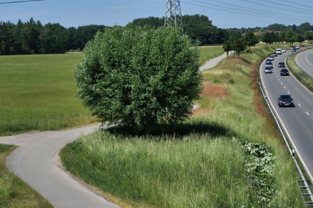 Schwerin-Rundtour: Schaalsee