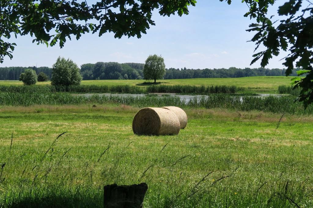 Schwerin-Rundtour: Schaalsee