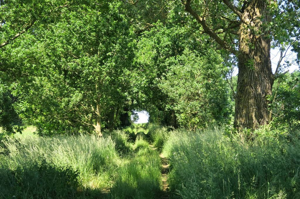 Schwerin-Rundtour: Schaalsee