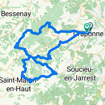 lyon 1