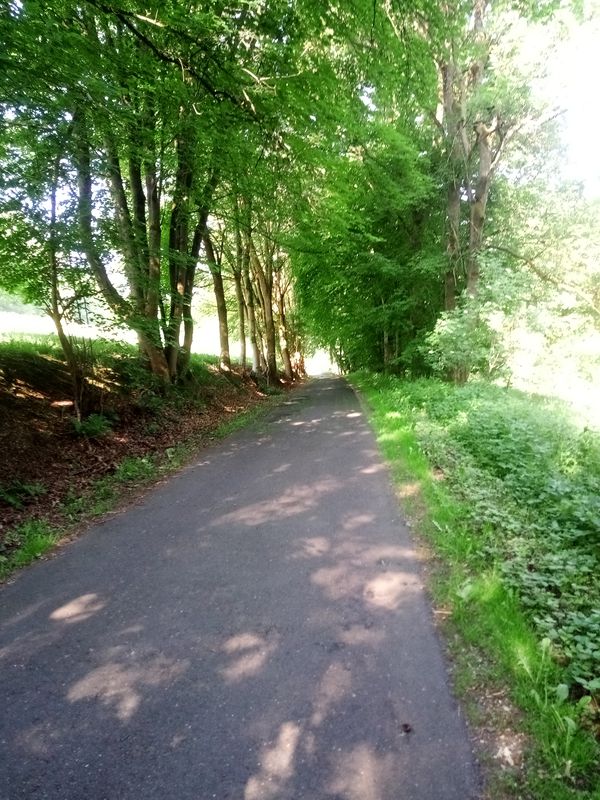 Rosenweg 2, Hohenroda nach Rosenweg 1, Hohenroda