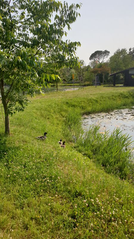 Relaxed route in