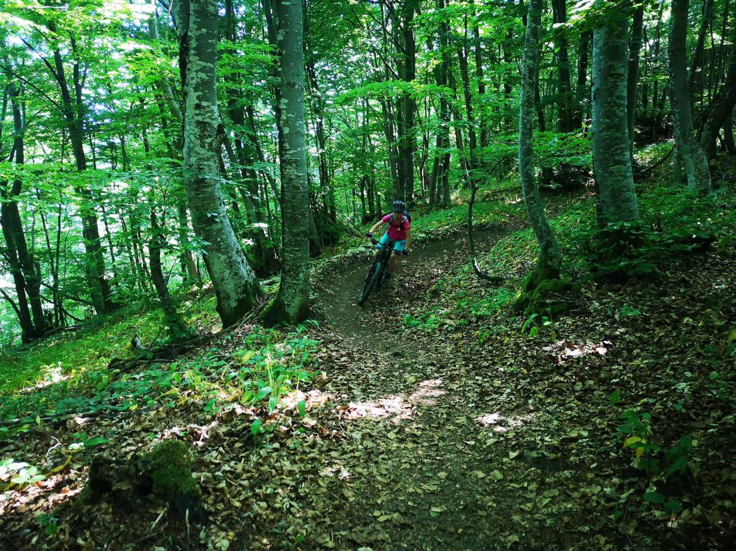 Cerknica Slivnica