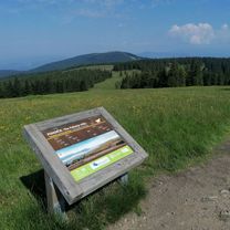 Foto 8 der Bikemap-Route "Mislinja-Kope-Ribniska-Mislinja 19.06.2021"