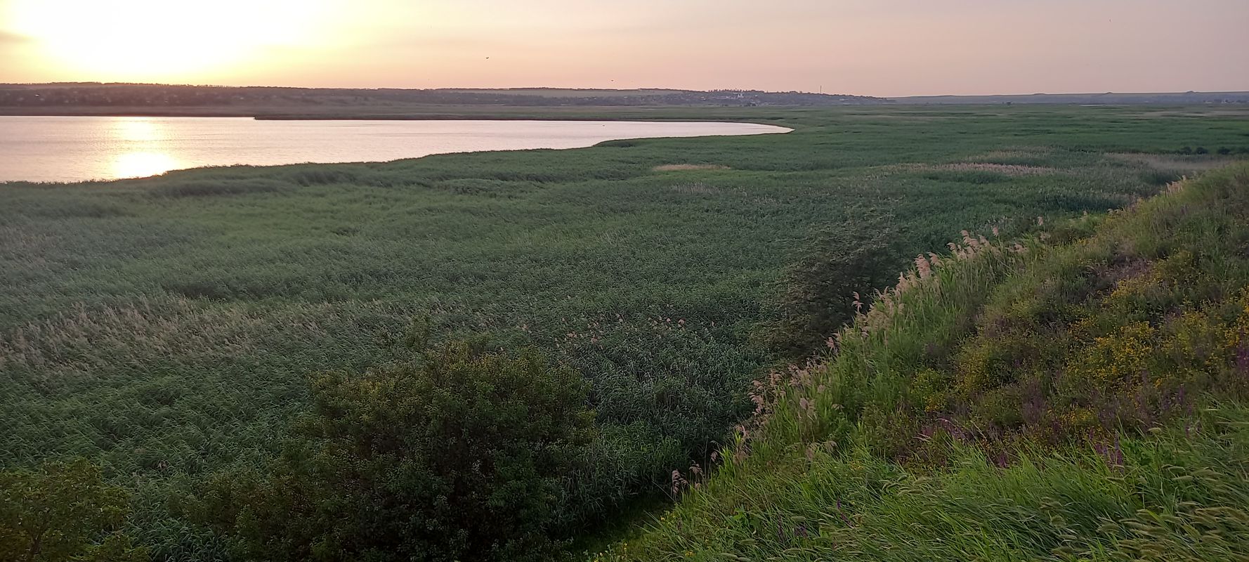 Павловская крепость