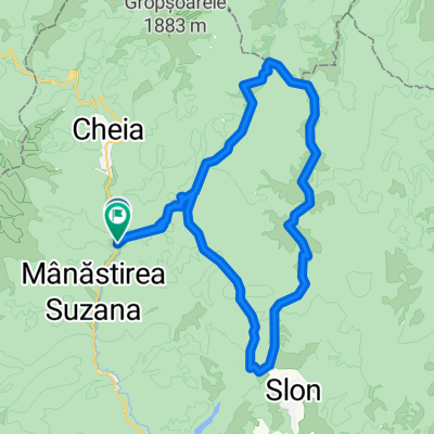 Circuit in Siriu Mountains