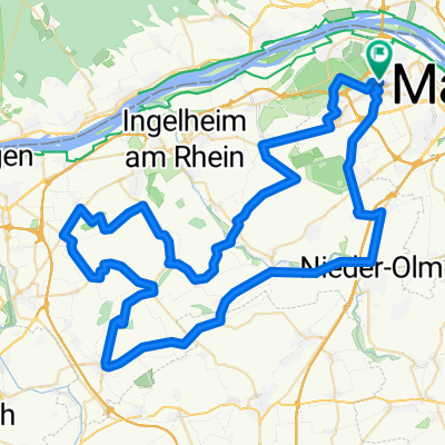 80 km Hügel in Rheinhessen