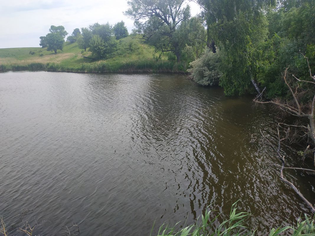 От Т1033, Семенівка до Т1033, Семенівка