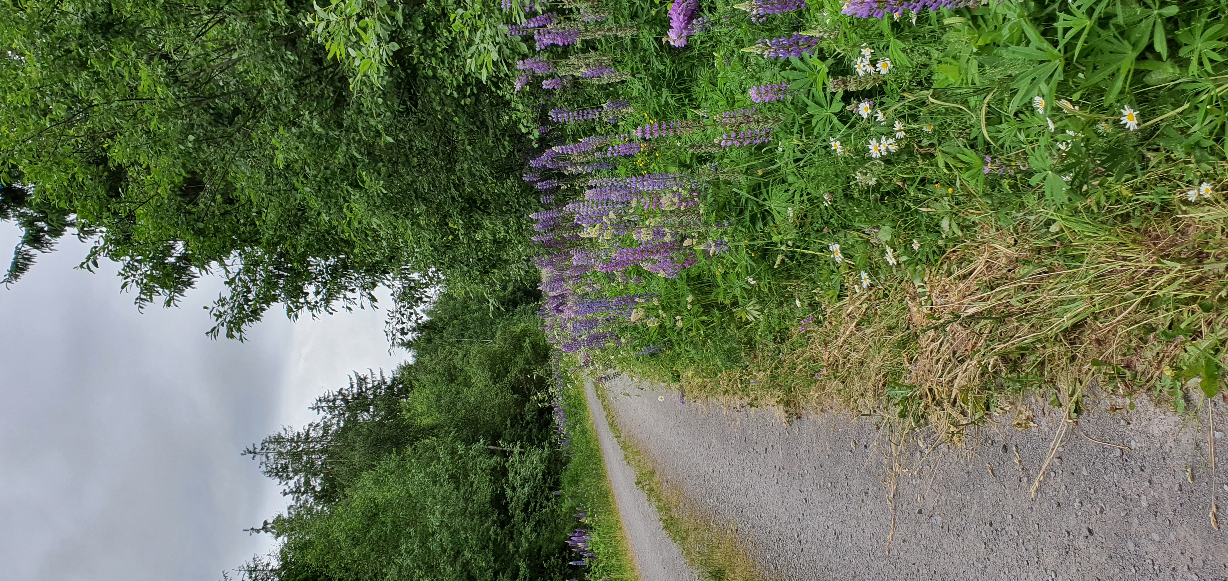 Rudolf-Breitscheid-Straße Ilmenau