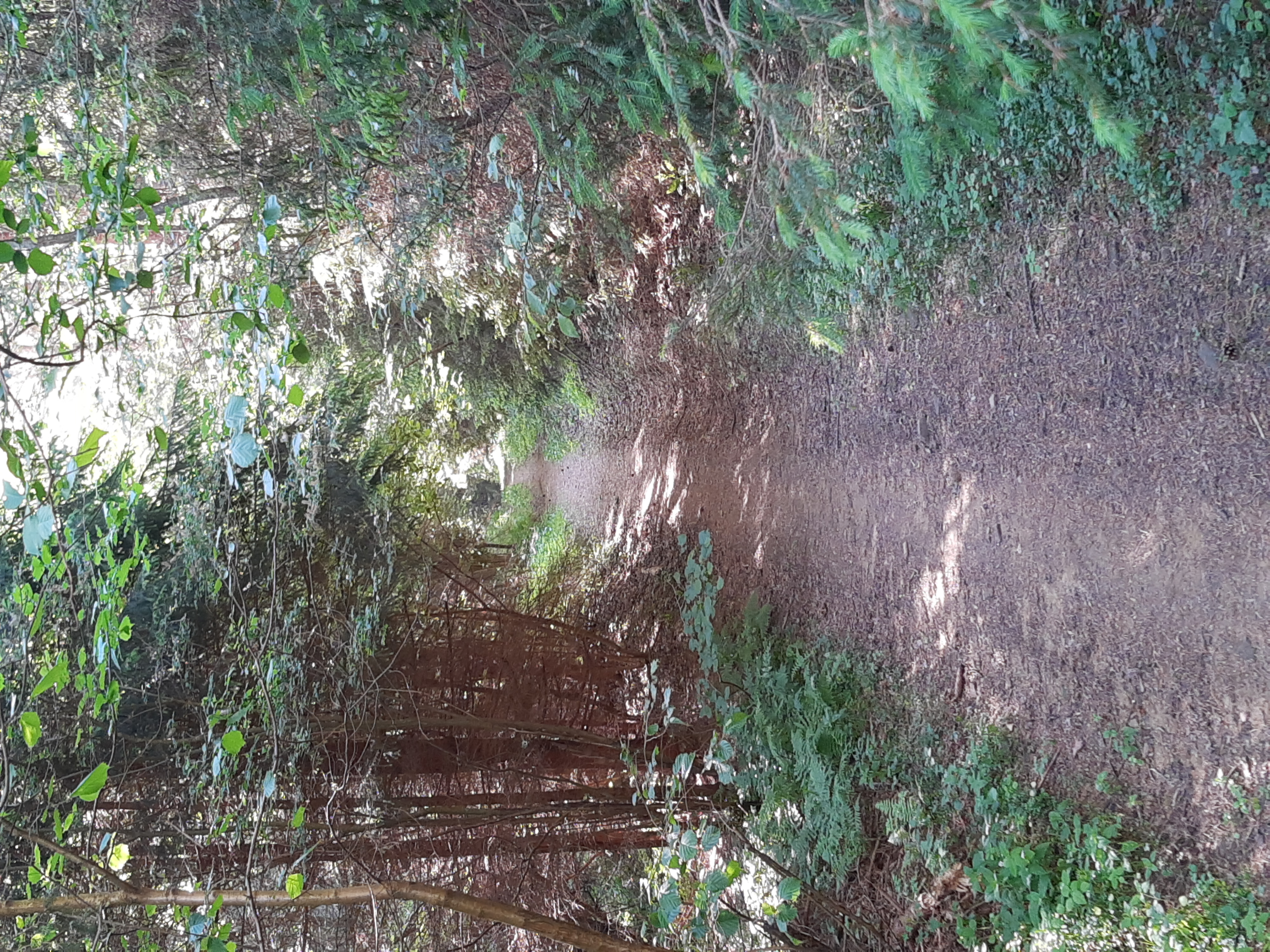 Lanškrounská 15 do Lanškrounská 13