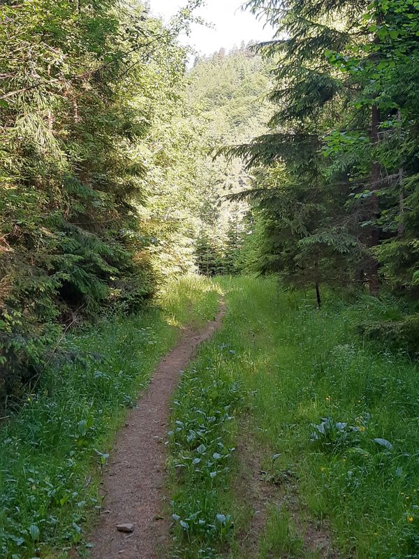 Lanškrounská 15 do Lanškrounská 13