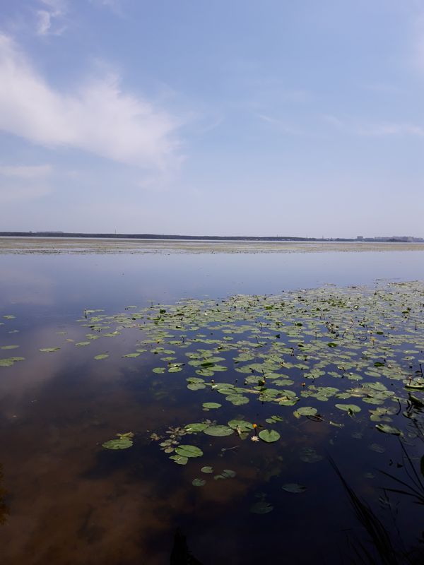 ΠΊ Π²ΠΎΠ΄ΠΎΡ
ΡΠ°Π½ΠΈΠ»ΠΈΡΡ