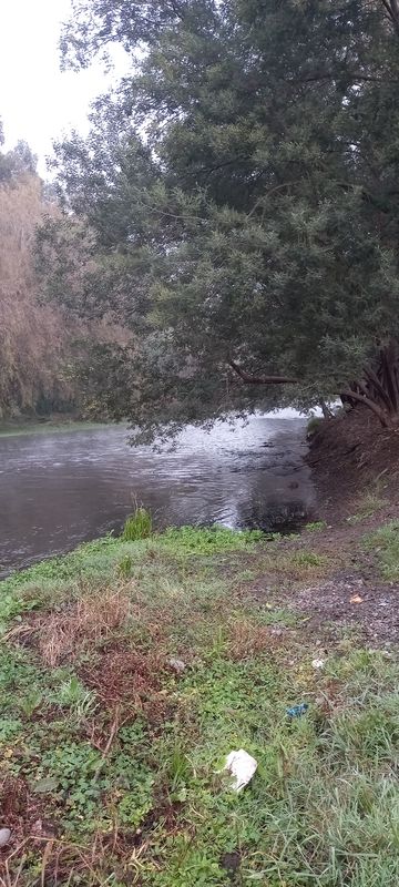 De Camino a El Trigal, Requinoa a Camino a El Trigal, Requinoa