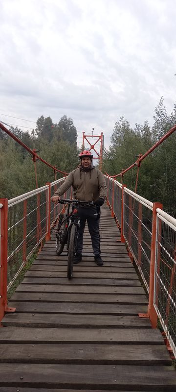 De Camino a El Trigal, Requinoa a Camino a El Trigal, Requinoa