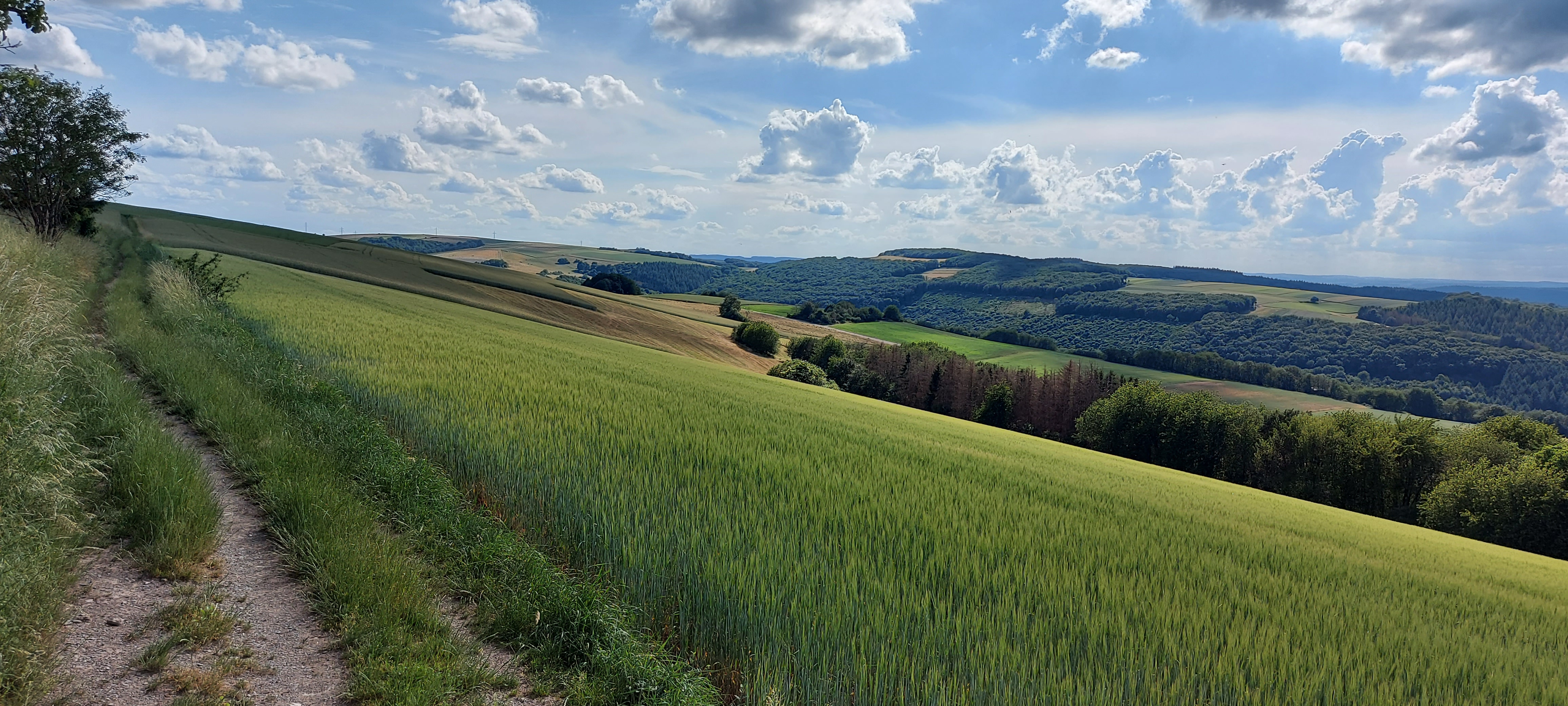 L139, Trier-Saarburg nach Brunnenweg 24, Pluwig