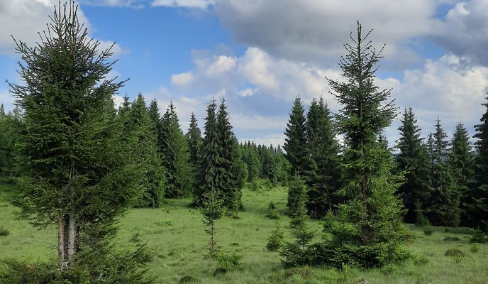 Photo 2 of the Bikemap route "Beliş-Fântânele"