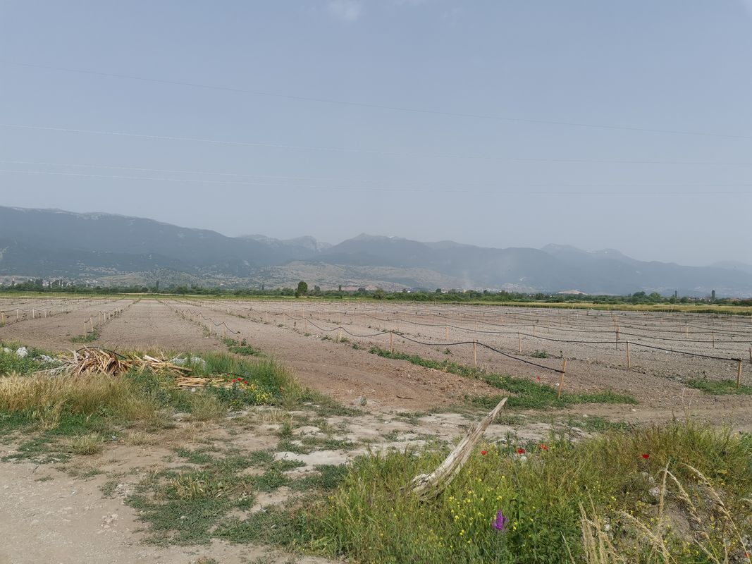 Struga-Moroiski most- kanal Shum-ezero Shum - Zagracani -Teferic, Struga