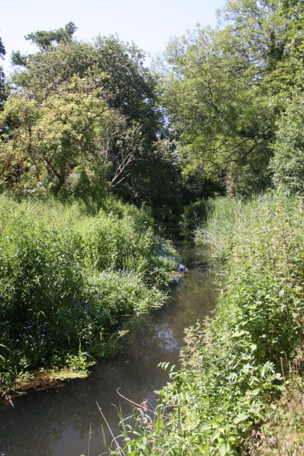 Fordham route along River Snail