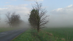 Hebe Bild 7 entlang der Bikemap-Route "KN-Kopite-Gerecse-Tata-KN" hervor