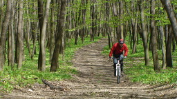 Hebe Bild 3 entlang der Bikemap-Route "KN-Kopite-Gerecse-Tata-KN" hervor