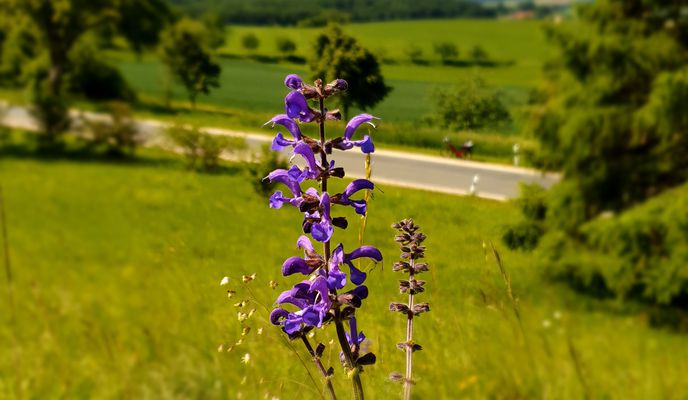 Foto 1 der Bikemap-Route "Heidenheim (Hahnenkamm) zur Fossa Carolina"