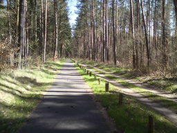 Hebe Bild 15 entlang der Bikemap-Route "Niederfinow Schiffshebewerk Tour" hervor
