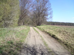 Hebe Bild 4 entlang der Bikemap-Route "Niederfinow Schiffshebewerk Tour" hervor