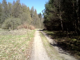 Hebe Bild 1 entlang der Bikemap-Route "Niederfinow Schiffshebewerk Tour" hervor