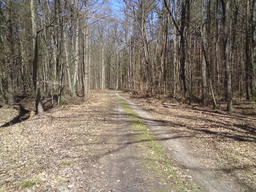 Hebe Bild 5 entlang der Bikemap-Route "Niederfinow Schiffshebewerk Tour" hervor