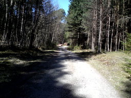 Hebe Bild 6 entlang der Bikemap-Route "Niederfinow Schiffshebewerk Tour" hervor